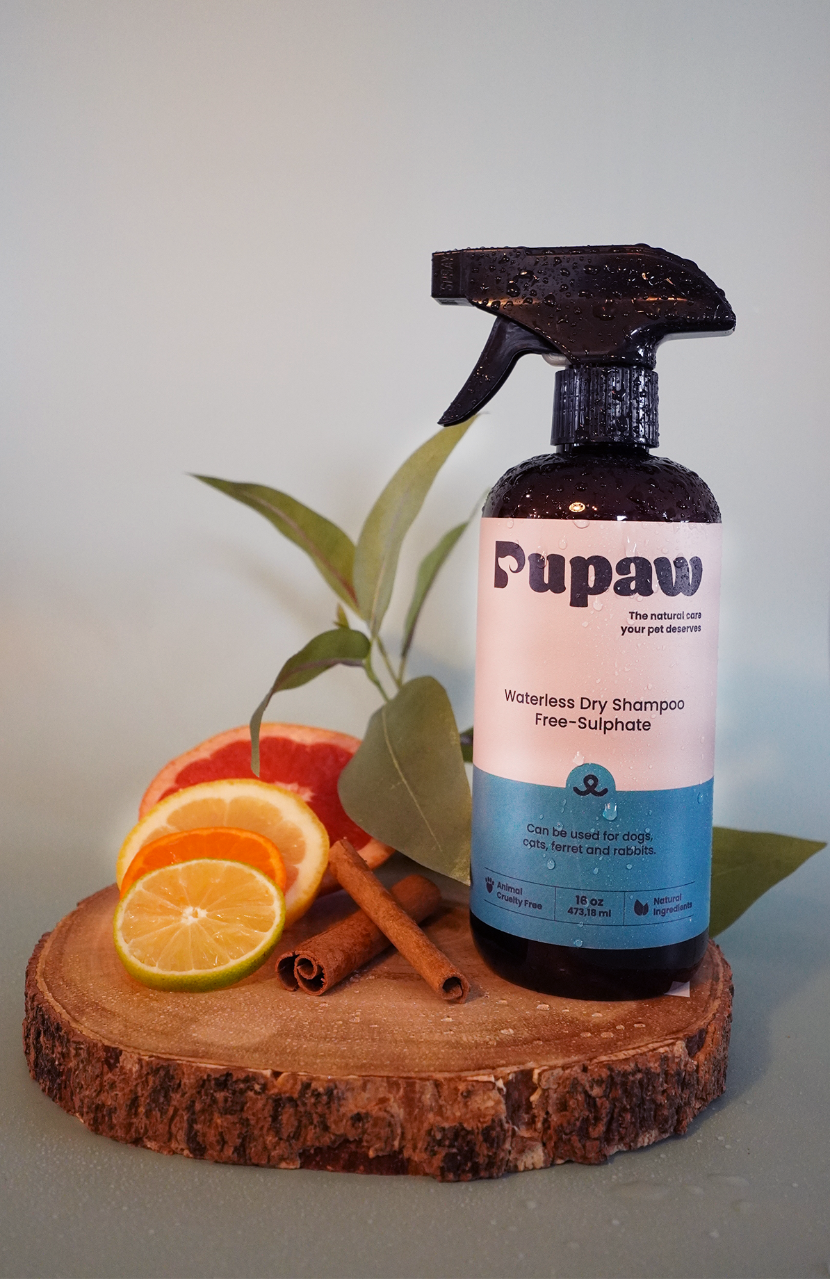 Pupaw Dry Pet Shampoo